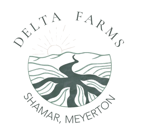 Delta Farms, Shamar, Meyerton — established 2024